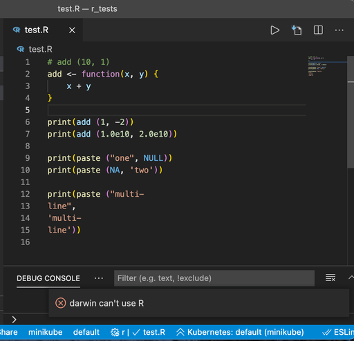 R and radian on macOS and VSCode | L.