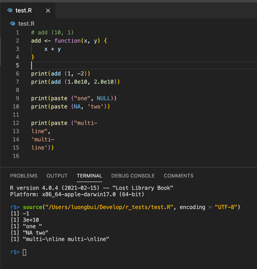 R and radian on macOS and VSCode | L.